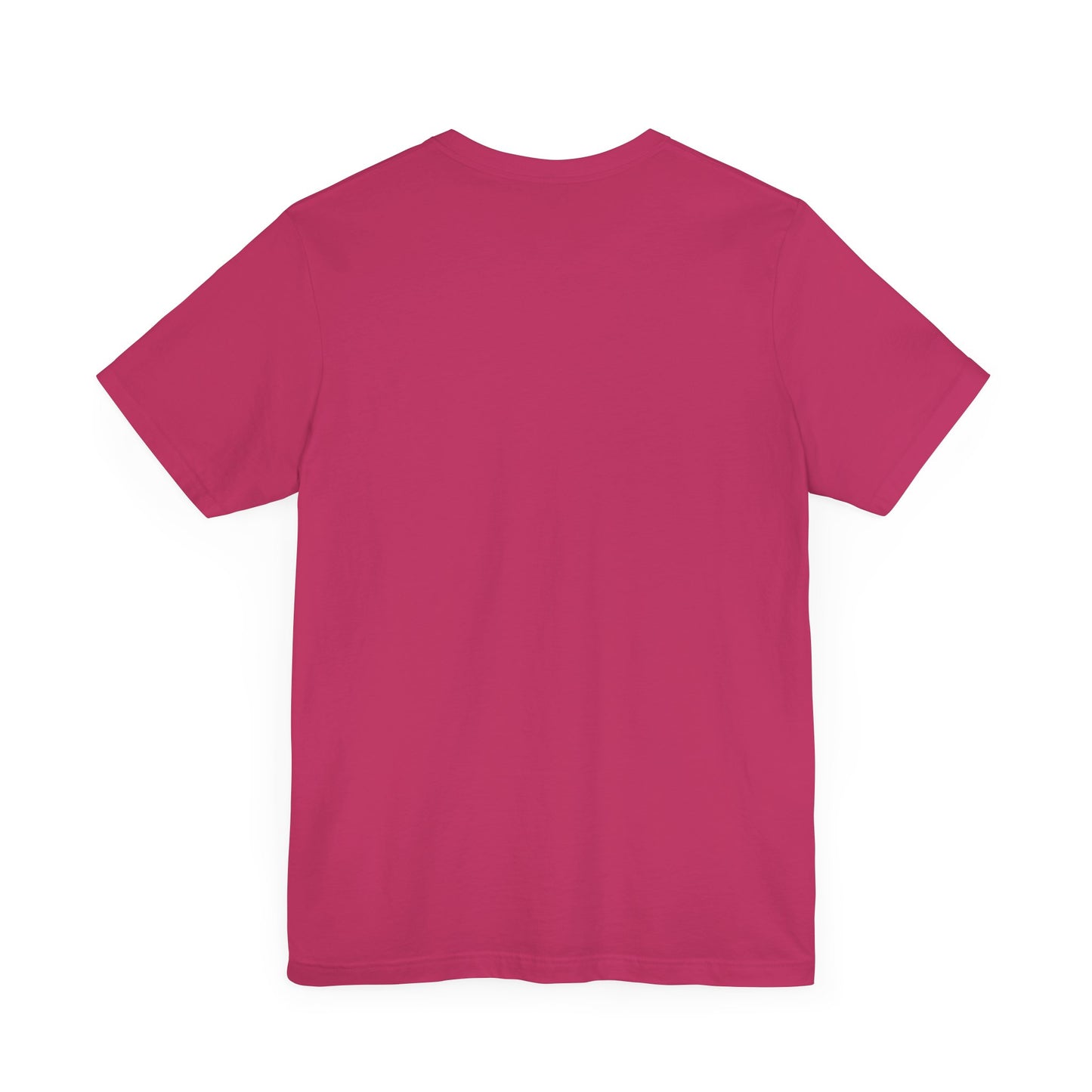 Proverbs 31 Tshirt