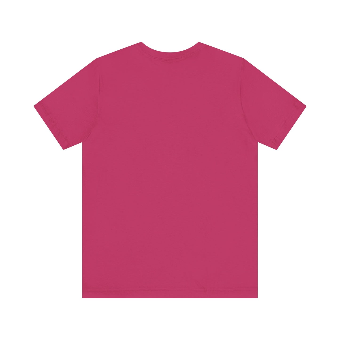 Proverbs 31 Tshirt
