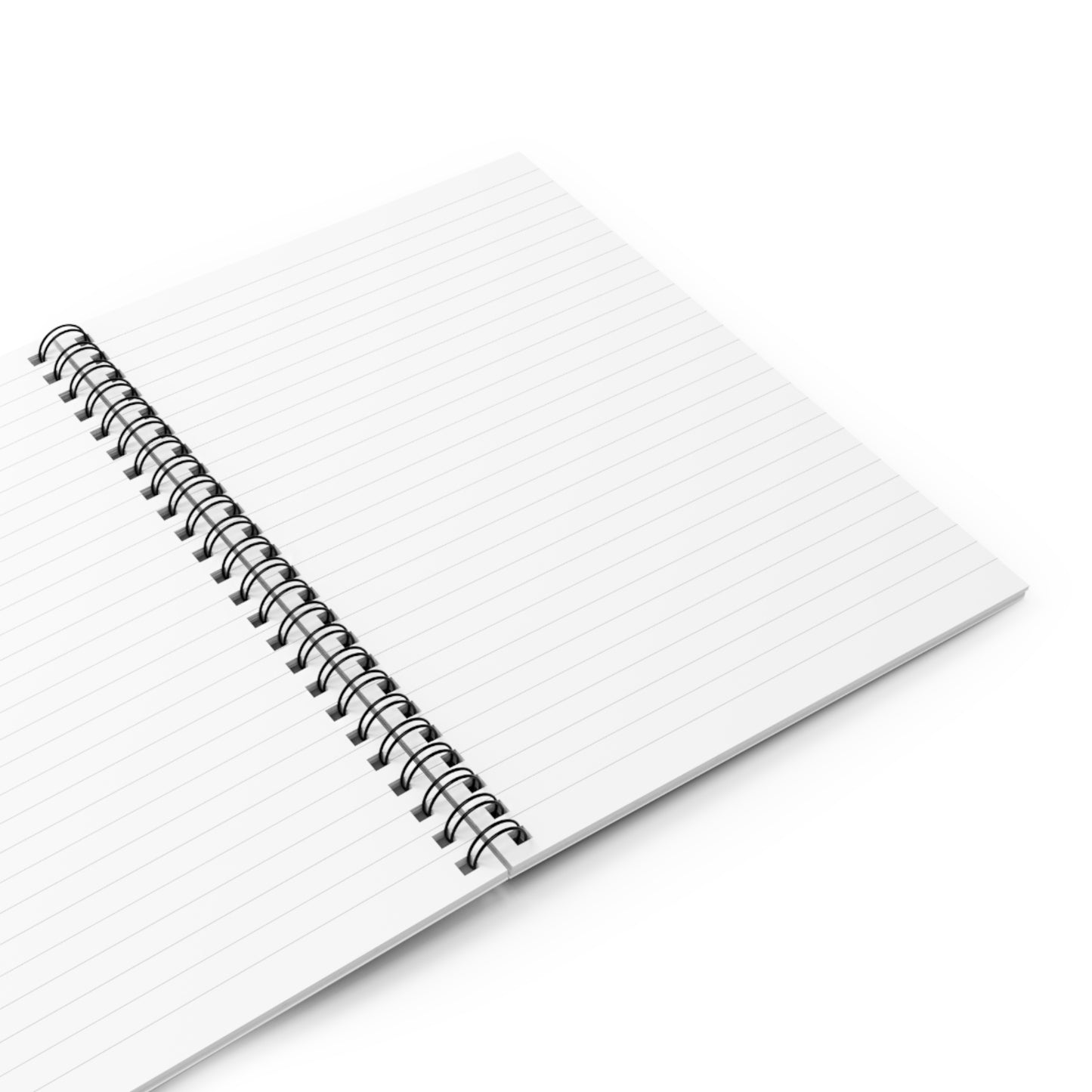 Make the Vision Plain Journal