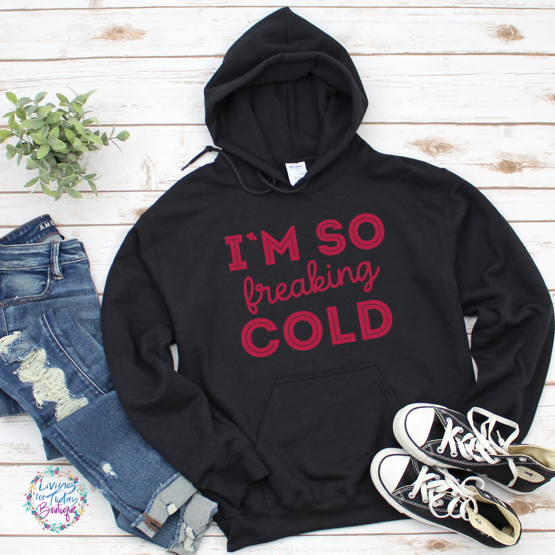 Im So Freaking Cold Hoodie