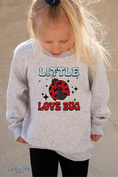 Little Love Bug Sweatshirt